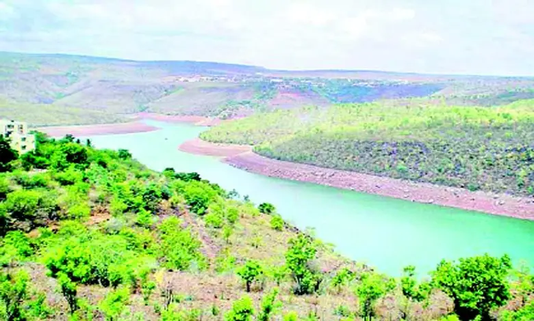 Focus Plus: Krishna River: The Ganges of the South...