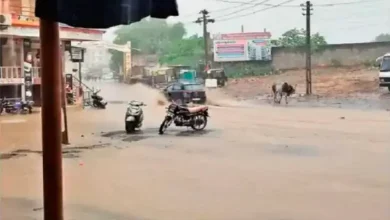 Ashadhi Meghna's brilliant batting in Kutch: Rain all day