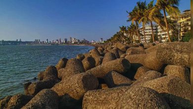 મરીન ડ્રાઈવ પર સ્ટારફિશ જેવા દેખાતા આ પથ્થર કેમ મૂકવામાં આવે છે? 99% લોકોને નથી ખબર કારણ...