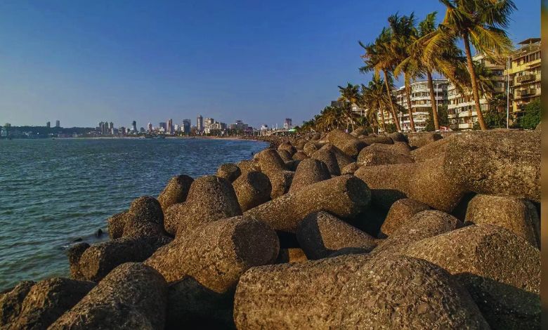 મરીન ડ્રાઈવ પર સ્ટારફિશ જેવા દેખાતા આ પથ્થર કેમ મૂકવામાં આવે છે? 99% લોકોને નથી ખબર કારણ...