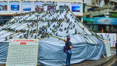 સવારે ફક્ત બે કલાક ચણ નાખવાની પરવાનગી આપવાની માગણી