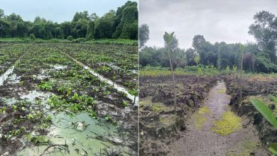 ગારગાઈ પ્રોજેક્ટ પાટે ચઢ્યો! અસરગ્રસ્તોના પુનર્વર્સન માટે તૈયારી શરૂ