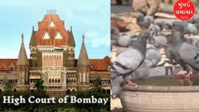 મુંબઈ હાઈકોર્ટનો ફોટો જેમાં જસ્ટિસ જી.એસ. કુલકર્ણી અને આરિફ ડોક્ટરની બેન્ચ કબૂતરખાના પર સુનાવણી કરી રહી છે.