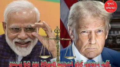 Trump's 50 percent tariff will not harm India, claims top rating agency, what is the reason given?