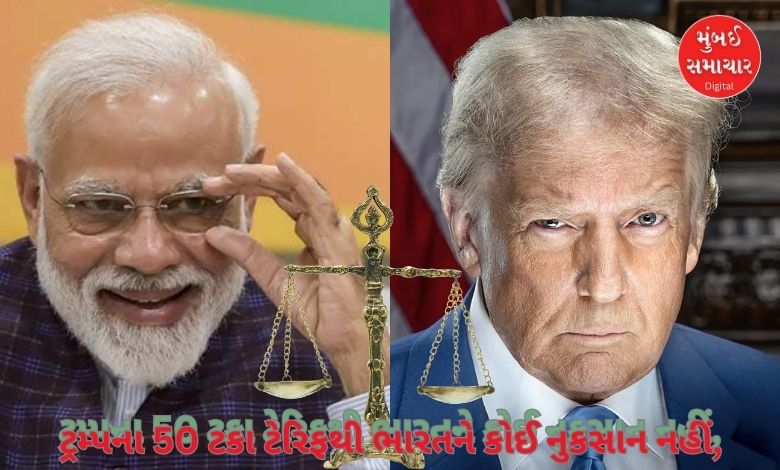 Trump's 50 percent tariff will not harm India, claims top rating agency, what is the reason given?