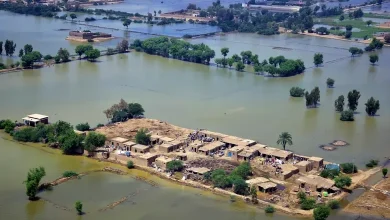 પાકિસ્તાનમાં પૂરથી પ્રભાવિત ગામનો એરિયલ વ્યૂ, જ્યાં પાણીમાં ગરકાવ થયેલા મકાનો દેખાય છે.