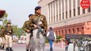 Another major lapse in Parliament security; A man jumped the wall and entered the premises