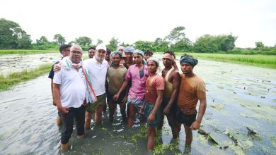 90 ટકા ઉત્પાદન છતાંય 1 ટકાનો નફો નહીં: મખાનાની ખેતી કરતા ખેડૂતોની રાહુલ ગાંધીએ પરિસ્થિતિ જાણી