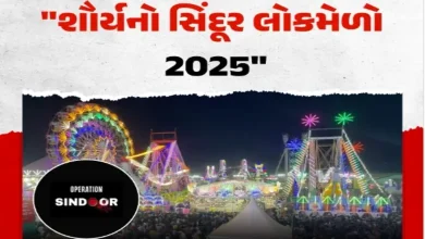 રાજકોટના રેસકોર્સ મેદાનમાં જન્માષ્ટમીના લોકમેળાનું દૃશ્ય, રાઈડ્સ અને લોકોની ભીડ.