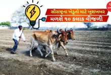 સૌરાષ્ટ્રના ખેડૂતો માટે ખુશખબર