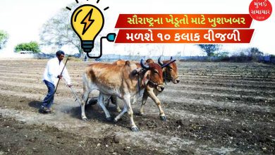 સૌરાષ્ટ્રના ખેડૂતો માટે ખુશખબર