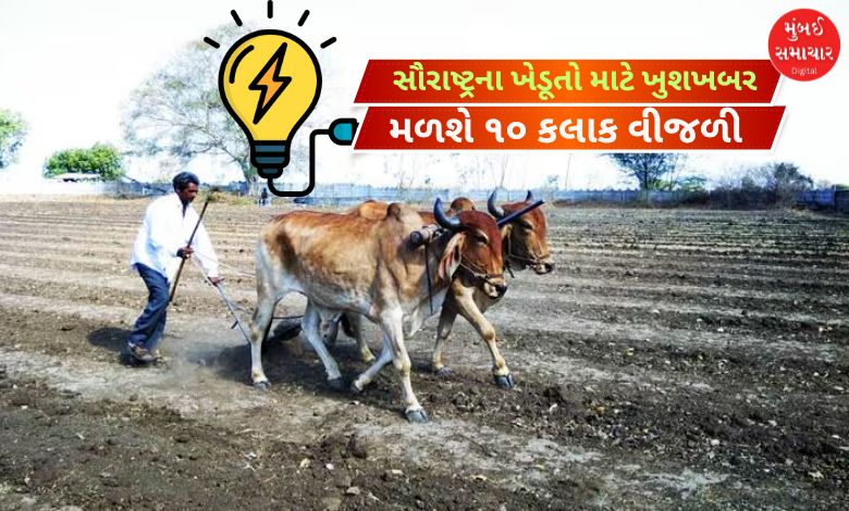 સૌરાષ્ટ્રના ખેડૂતો માટે ખુશખબર