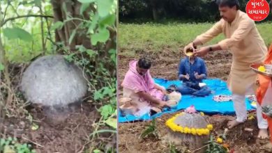 જમીનમાંથી બહાર આવેલું શિવલિંગ, તેની પૂજા કરતા શ્રદ્ધાળુઓનું દૃશ્ય.