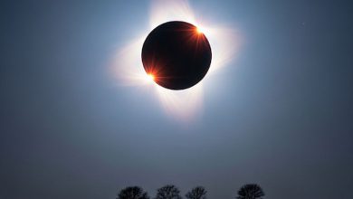 Solar Eclips 2025: સપ્ટેમ્બરમાં લાગશે વર્ષનું છેલ્લું સૂર્ય ગ્રહણ, જાણો ભારતમાં દેખાશે કે નહીં?