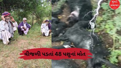 વરસાદ અને વીજળીનું દૃશ્ય, જમીન પર મૃત પશુઓ પડ્યા હોય.