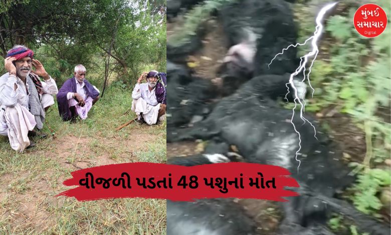 વરસાદ અને વીજળીનું દૃશ્ય, જમીન પર મૃત પશુઓ પડ્યા હોય.
