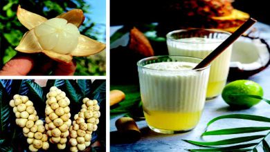 સ્વાસ્થ્ય સુધાઃ સદાબહાર યુવાન બનાવતું સ્વાદિષ્ટ-પૌષ્ટિક ફળ લૈંગસૈટ!