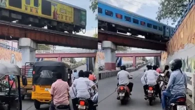એક વીડિયોમાં ટ્રેન પુલ પરથી પસાર થતા નીચે વાહનચાલકો રોકાઈ રહ્યા છે.
