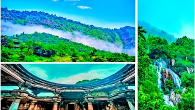 Travel Plus Gujarat's rainy season festival