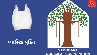 વડોદરા મહાનગર પાલિકાએ સિંગલ યુઝ પ્લાસ્ટિકને નાબૂદ કરવા એક અનોખી પહેલ શરૂ કરી છે. હવે માત્ર ₹5 માં ક્લોથ બેગ વેન્ડિંગ મશીનમાંથી કાપડની થેલી મેળવી શકાશે.