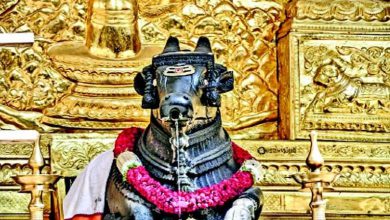 Special: The story of one city, two temples and two Nandis...