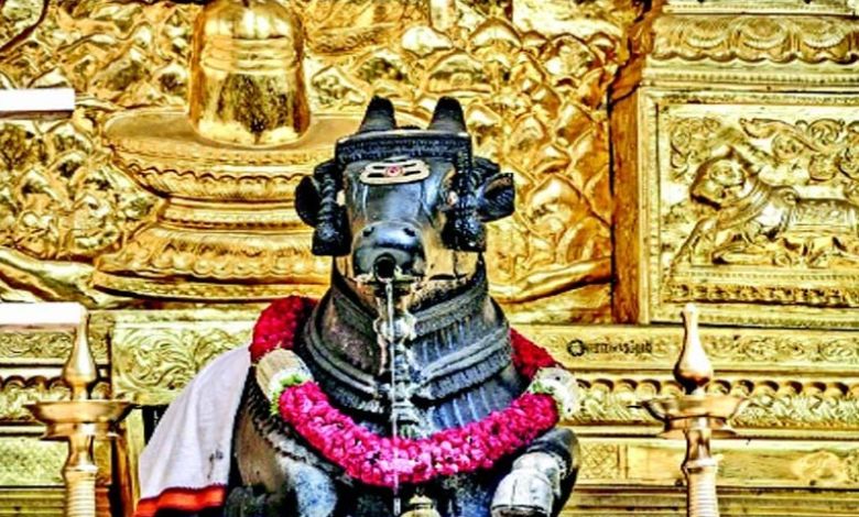 Special: The story of one city, two temples and two Nandis...