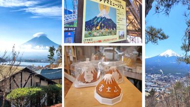 અરાઉન્ડ ધ વર્લ્ડ: માઉન્ટ ફુજી-પોપ કલ્ચર આઇકોનોગ્રાફીનો ચેમ્પિયન...