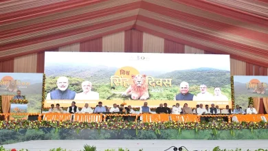 દેવભૂમિ દ્વારકાના બરડા અભયારણ્યમાં વિશ્વ સિંહ દિવસની ઉજવણી દરમિયાન મુખ્યમંત્રી ભૂપેન્દ્ર પટેલ અને કેન્દ્રીય મંત્રી ભૂપેન્દ્ર યાદવ.