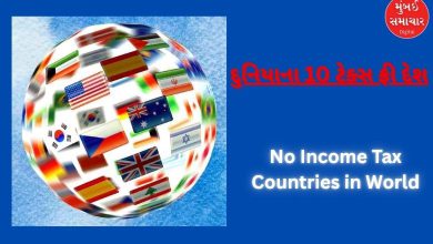 10 countries in the world where there is no income tax, know which countries are included in this list
