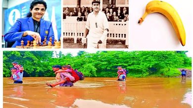 A strange and wonderful world