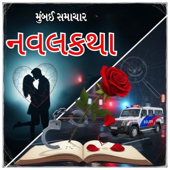 નવલકથા