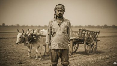 અતિવૃષ્ટિથી પિડીત ખેડૂતોને 73.91 કરોડની મદદ