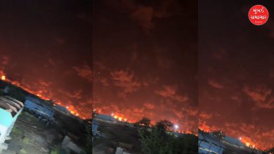 ભરૂચ GIDCની સંઘવી ઓર્ગેનિક્સ કંપનીમાં લાગી ભીષણ આગ, ધુમાડાના ગોટેગોટા દૂર સુધી દેખાયા