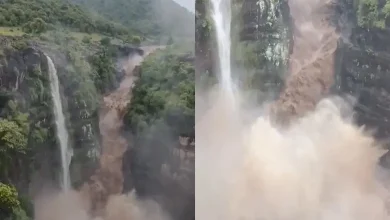 અજંતા ગુફામાં આવેલો એક વિશાળ ધોધ, જે ભારે વરસાદને કારણે સંપૂર્ણપણે વહી રહ્યો છે અને પ્રવાસીઓને આકર્ષી રહ્યો છે. આ દૃશ્ય મનોહર અને કુદરતી સૌંદર્યથી ભરપૂર છે.