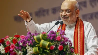 Amit Shah's statement on Hindi Day