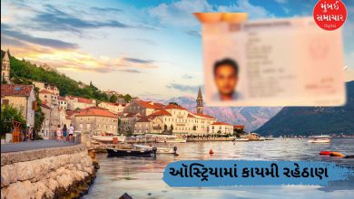 ઑસ્ટ્રિયાના વિયેના શહેરનો સુંદર દૃશ્ય.