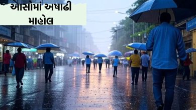 રાજ્યમાં આસોમાં જામ્યો અષાઢી માહોલ, સૂત્રાપાડામાં 8 ઇંચ વરસાદ, જાણો 24 કલાકના આંકડા
