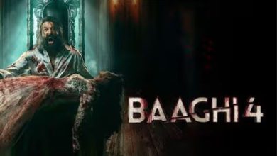 BAAGHI-4: રિવ્યુ લખવા જેવી પણ ફિલ્મ નથી, છતાં લખ્યો છે