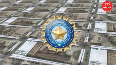 BCCI's annual income