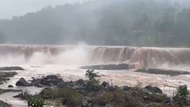 દક્ષિણ ગુજરાતમાં ભારે વરસાદથી નદીઓમાં પૂરની સ્થિતિ; ૮ ગેટ ખોલી ઉકાઈ ડેમમાંથી પાણી છોડાયું