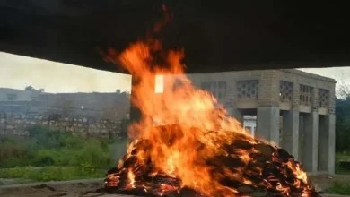 Brain dead person comes back to life