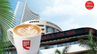 CCD shares generate income