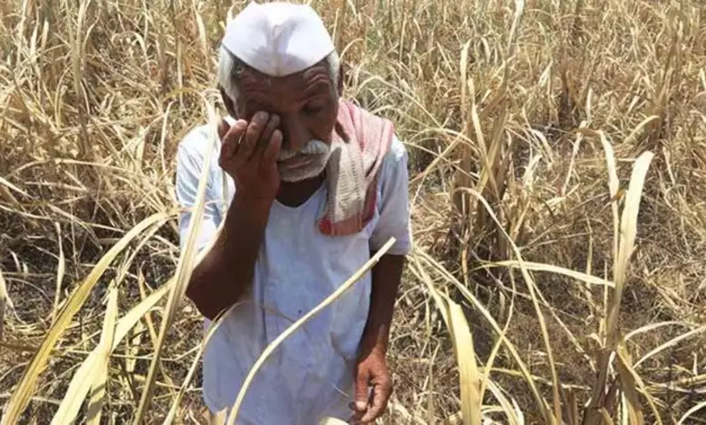Crop damage in Maharashtra