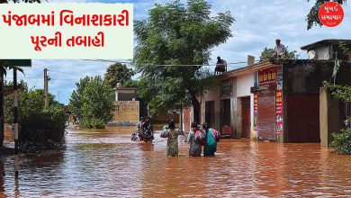 પંજાબમાં કુદરતી આફતે વિનાશ વેર્યો, પીએમ મોદીના રાહત પેકેજ પર AAP સરકારના કટાક્ષ