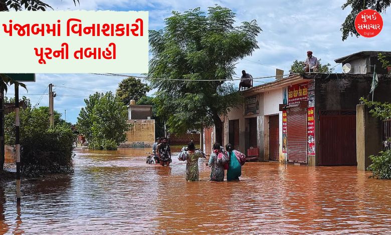પંજાબમાં કુદરતી આફતે વિનાશ વેર્યો, પીએમ મોદીના રાહત પેકેજ પર AAP સરકારના કટાક્ષ