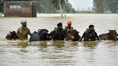 પંજાબમાં 1988 પછીનું સૌથી ભયાનક પૂર, ચોતરફા વિનાશના દ્રશ્યો સર્જાયા