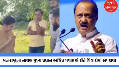 Salute to the courage of a female IPS officer: Video of argument with Ajit Pawar goes viral