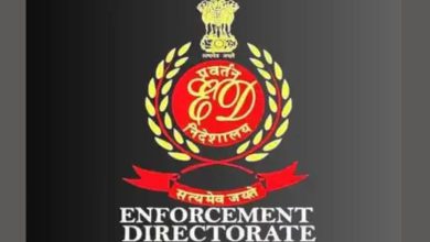 ED will seize the properties of these cricketers and film personalities! Action is being taken in this matter