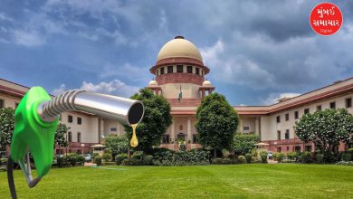 Ethanol-free petrol will not be available.