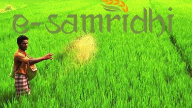 ટેકાના ભાવે વેચાણ માટે રજિસ્ટ્રેશન અટકી ગયું: ઈ-સમૃદ્ધિ પોર્ટલ ડાઉન થતા અમરેલીના ખેડૂતો પરેશાન